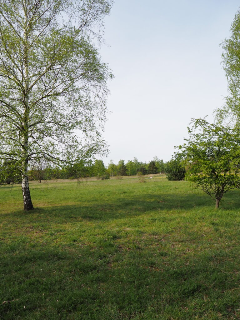 Naturzschutz Dresdner Heller